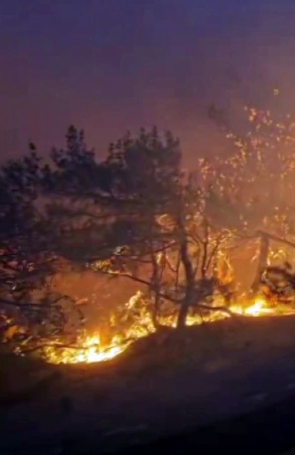 Alev çemberinin içinden geçtiler