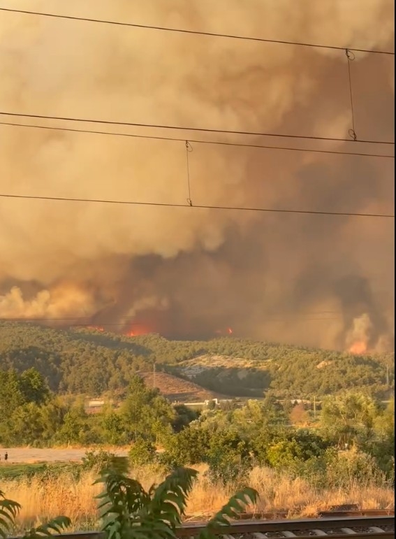 Alevler Geyve’den Osmaneli’ye ulaştı: 4 köy boşaltıldı!