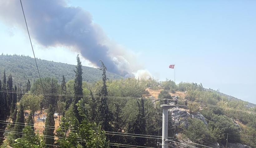 Alevler tavuk çiftliklerine dayandı