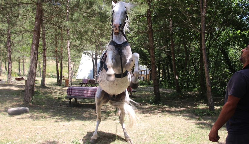 Allah denilince şaha kalkıyor