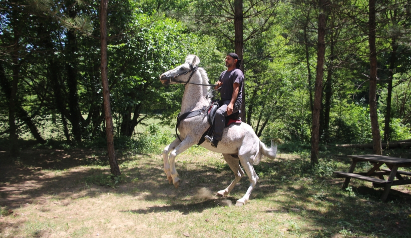 Allah denilince şaha kalkıyor