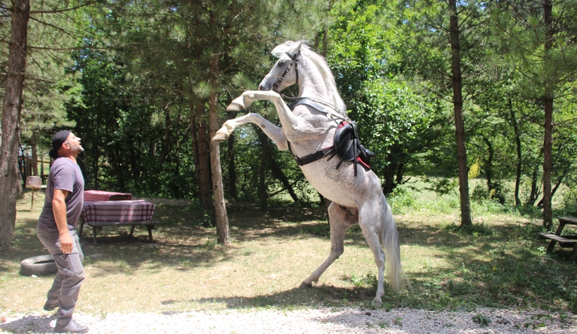 Allah denilince şaha kalkıyor