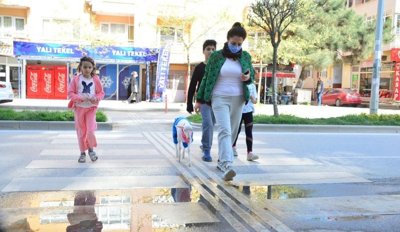altini-bezledigi-kuzusuyla-alisverise-gidiyormxc4ndleaw