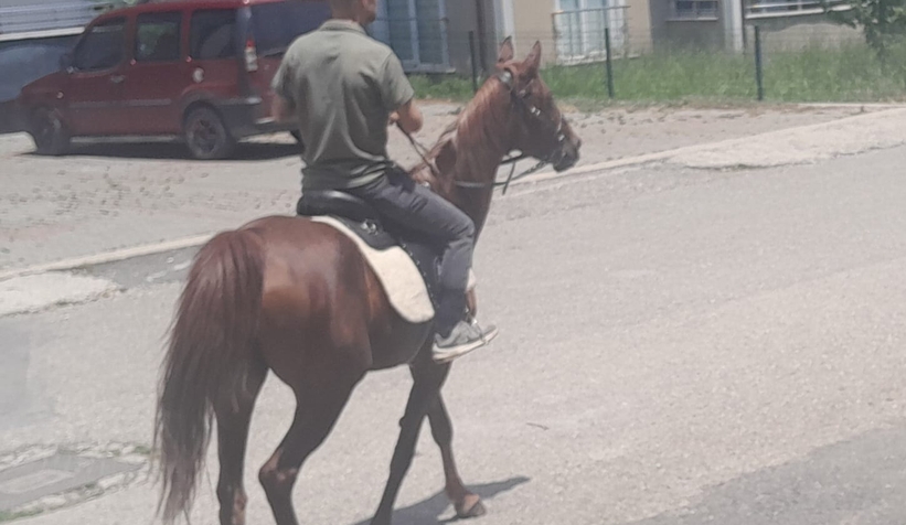 amcasinin-oglunun-atla-gel-istegine-gercekten-atla-geldiukmvrhntqj