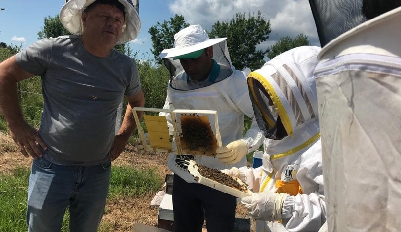 Ana arı üretimi eğitimleri tamamlandı