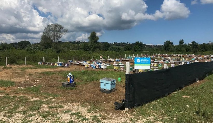 Ana arı üretimi eğitimleri tamamlandı