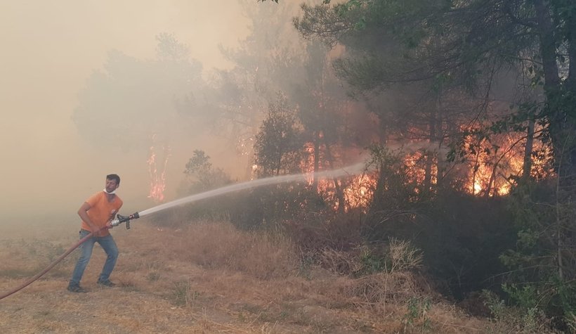 Anız ateşi ormanı yaktı