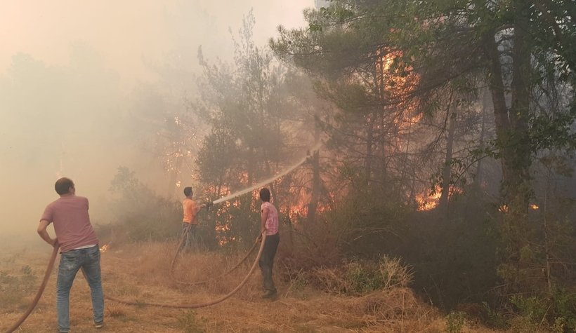 Anız ateşi ormanı yaktı