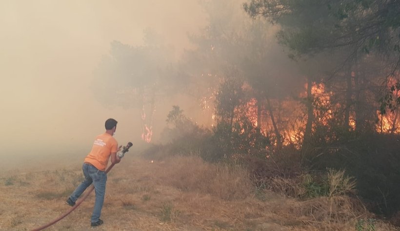 Anız ateşi ormanı yaktı
