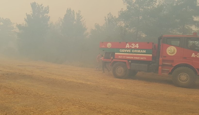 Anız ateşi ormanı yaktı