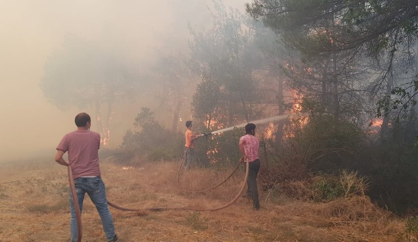 Anız ateşi ormanı yaktı