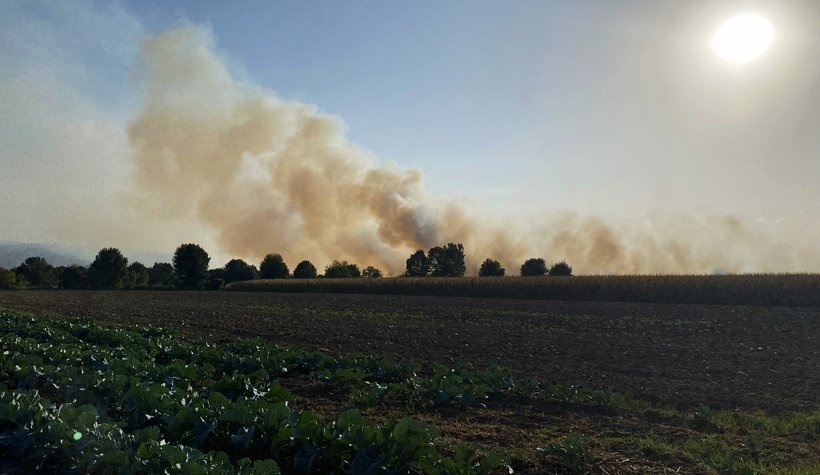 Anız yangınları şehri dumanla kapladı