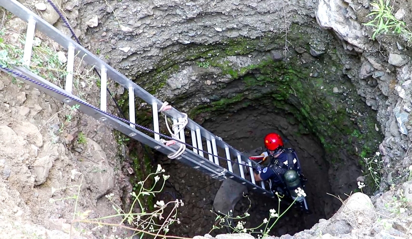 Anne domuz 5 saatlik operasyonla kuyudan çıkarıldı