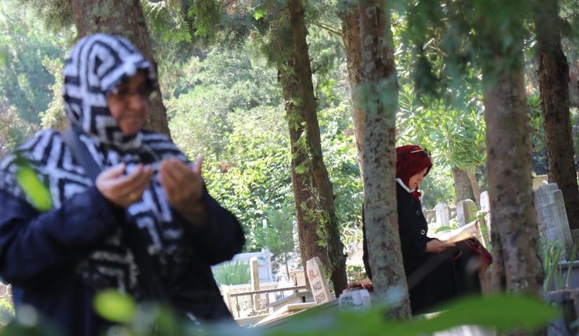 Annem diyen yavrularım yok