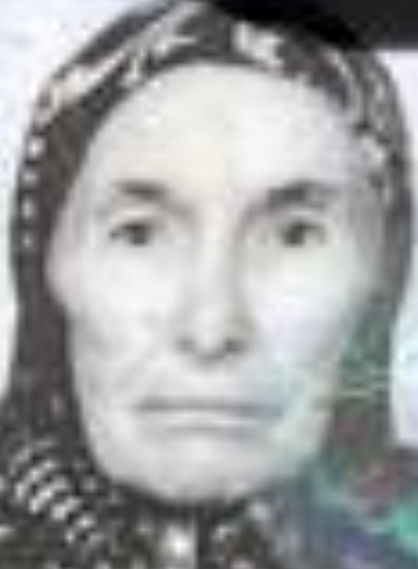 annesi-ve-anneannesini-baltayla-oldurmustu-sakarya-da-yasamisnwl1wjbnnh