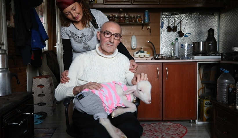 Annesiz kalan kuzuya sahip çıktılar