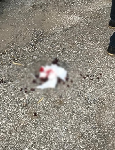 Araç elektrikli bisiklete çarptı: 2 yaralı