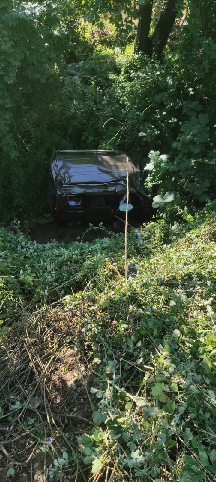 Araç şarampole yuvarlandı