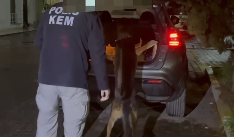 Araçtan on binlerce sentetik hap çıktı