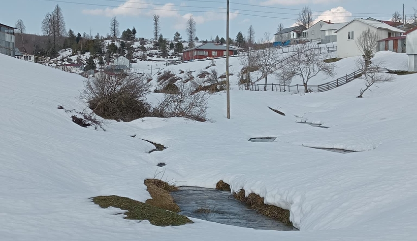 Arazi araçlarıyla Acelle Yaylası'na çıktılar