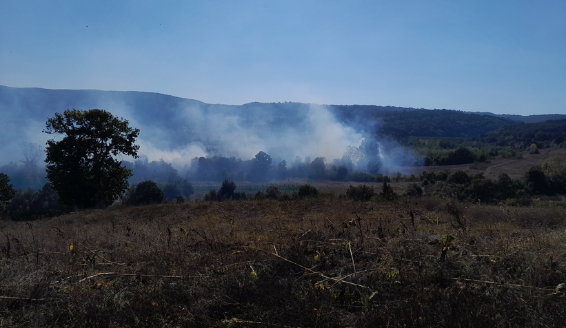 Arazi yangınında 40 dönüm alan yandı!  
