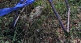 Arazide top mermisi bulundu