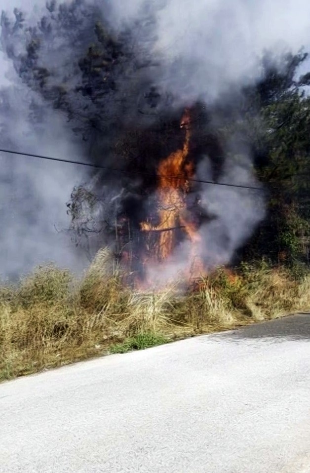 Arifiye'de çıkan orman yangını mahalleyi sokağa döktü