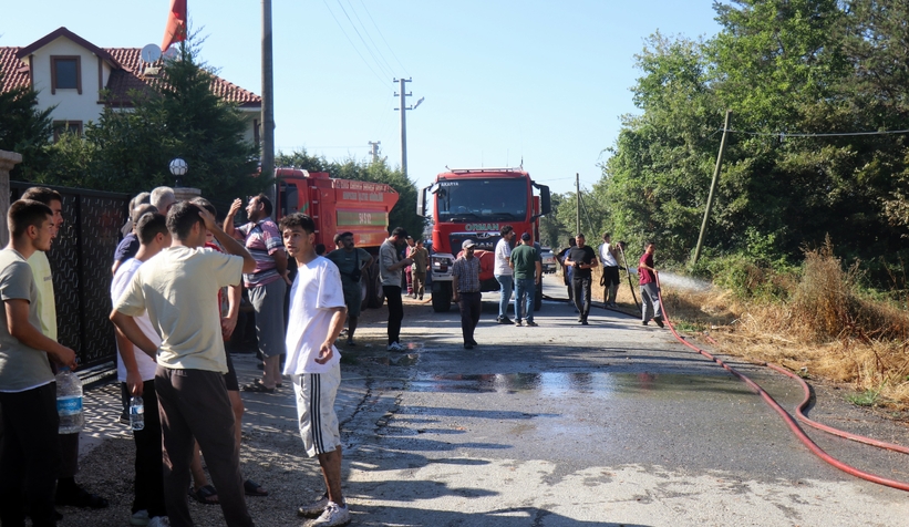 Arifiye'de çıkan orman yangını mahalleyi sokağa döktü