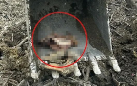 arifiye-de-cok-sayida-at-kafasi-bulundubtvgnmrfmu