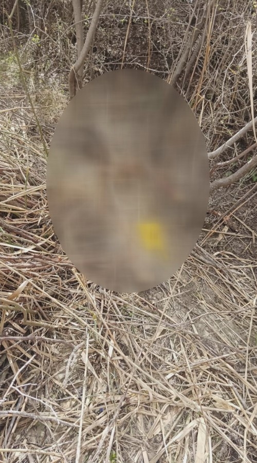 Arkadaş katili Sakarya'da inşaatta çalışırken yakalandı