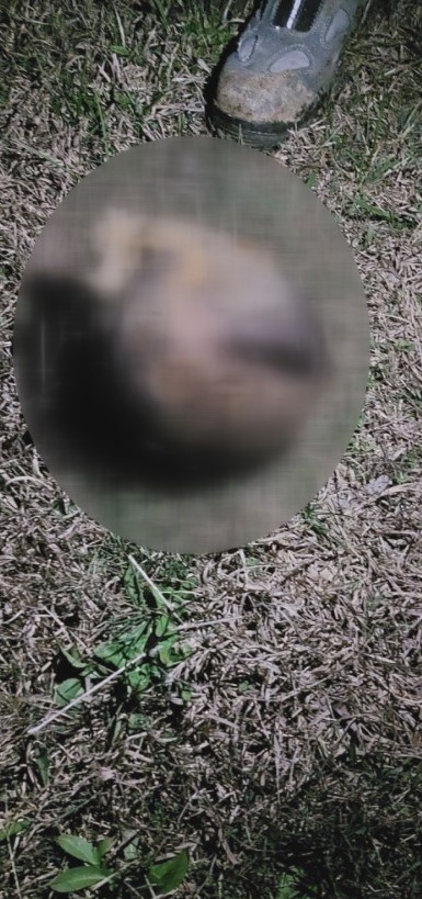 Arkadaş katili Sakarya'da inşaatta çalışırken yakalandı