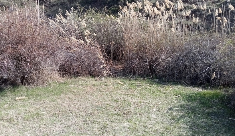 Arkadaş katili Sakarya'da inşaatta çalışırken yakalandı