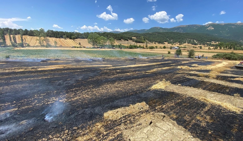 Arpa tarlası alev alev yandı