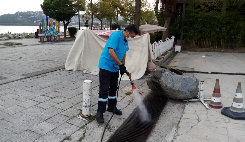 Asya Kaplanı ile mücadele başladı