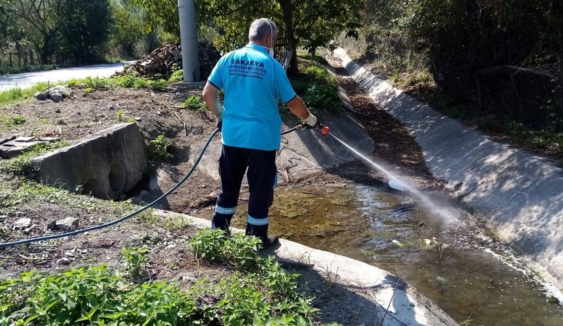 Asya Kaplanı ile mücadele başladı