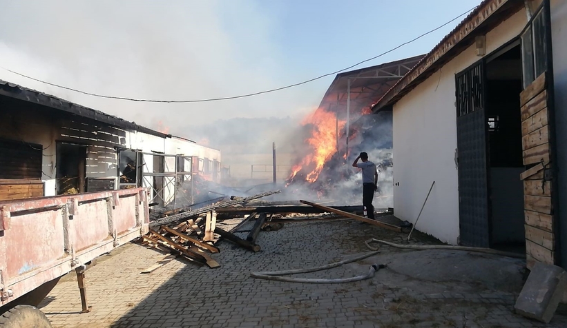 At çiftliğinde yangın