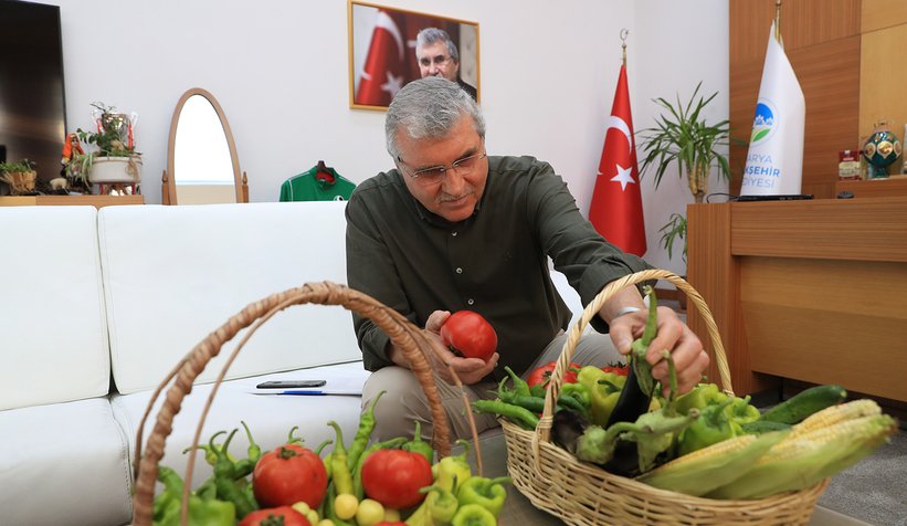 Ata Tohum üretiminde ilk mahsuller toplandı