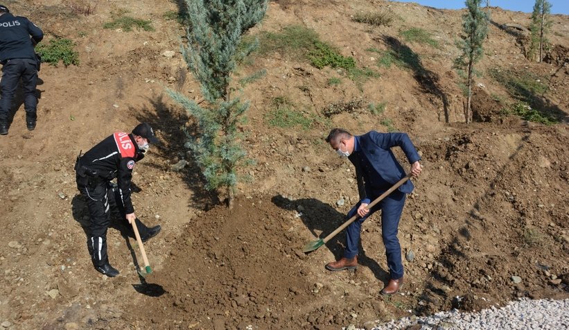 Atış Poligonuna fidanlar dikildi
