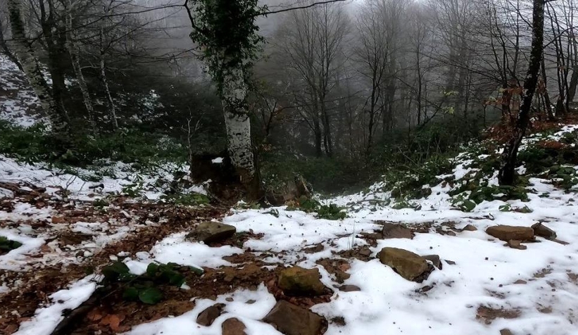 atv-ile-gezintiye-cikan-genc-adam-metrelerce-yukseklikten-yuvarlandiatnkdel6of