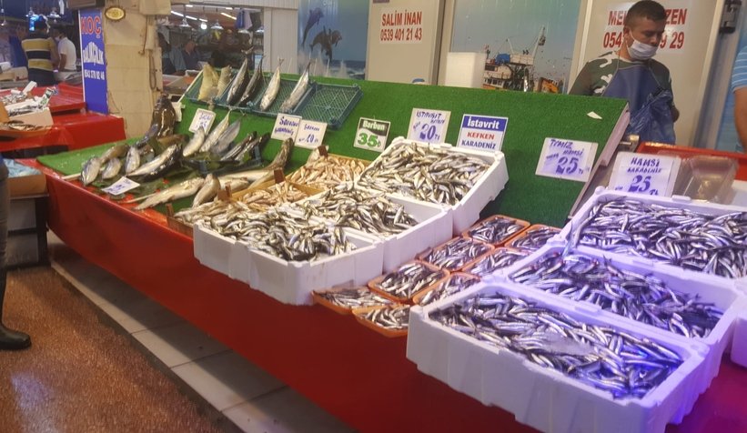Av mevsiminin ilk haftasında hamsi bereketi