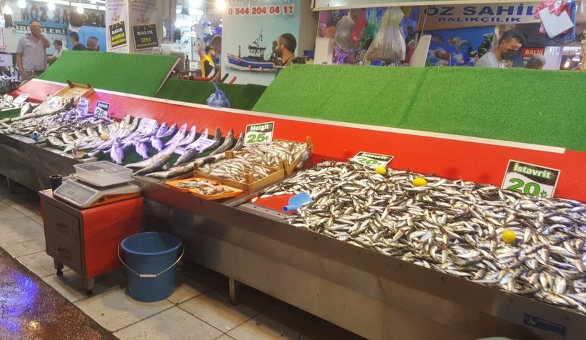 Av mevsiminin ilk haftasında hamsi bereketi