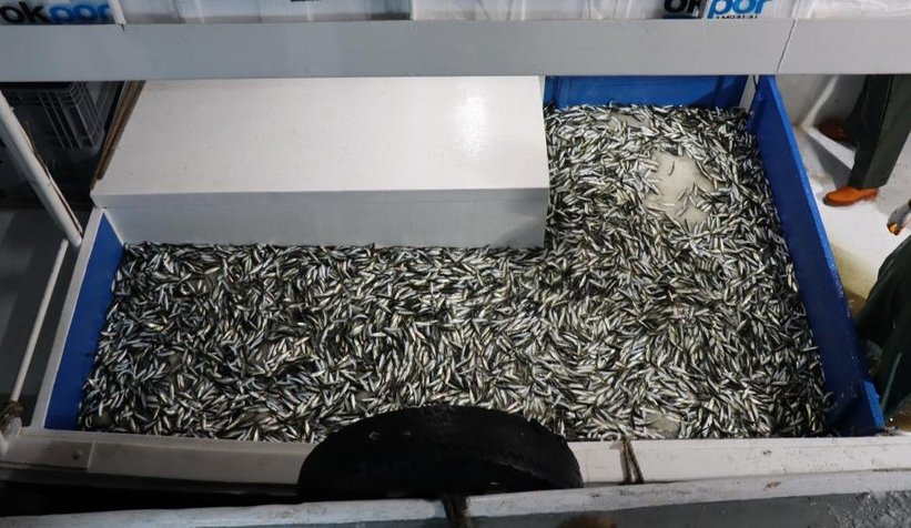 Av yasağı bugün bitti: Balıkçılar denizle kavuştu