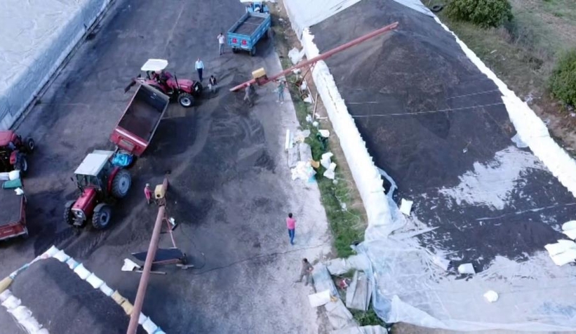 Ayçiçeği alımları başladı, çiftçiler kuyruk oluşturdu