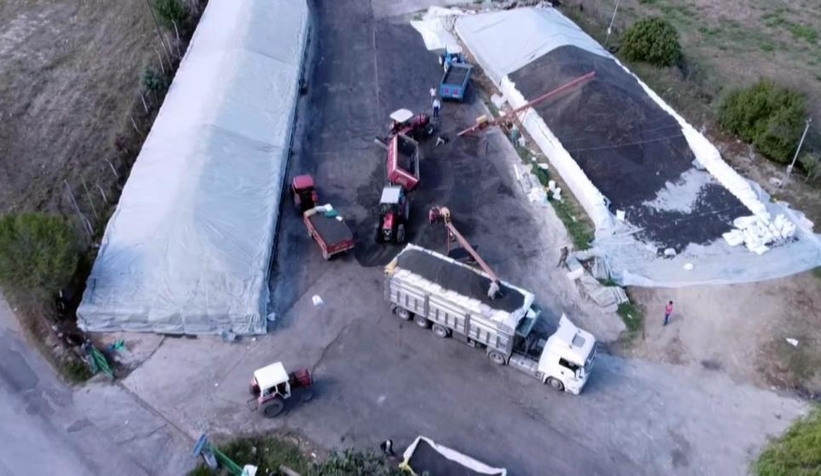 Ayçiçeği alımları başladı, çiftçiler kuyruk oluşturdu