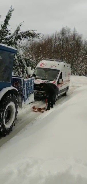 Aynı mahallede 4 ambulans kara saplandı