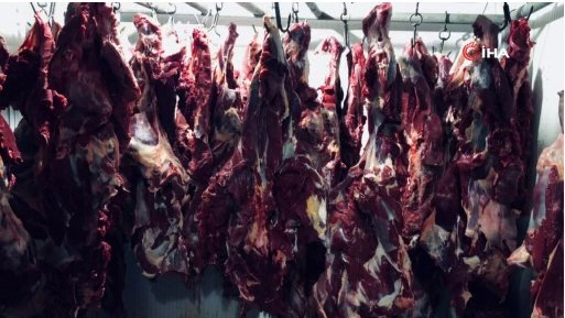 Baba oğul yine at keserken yakalandı