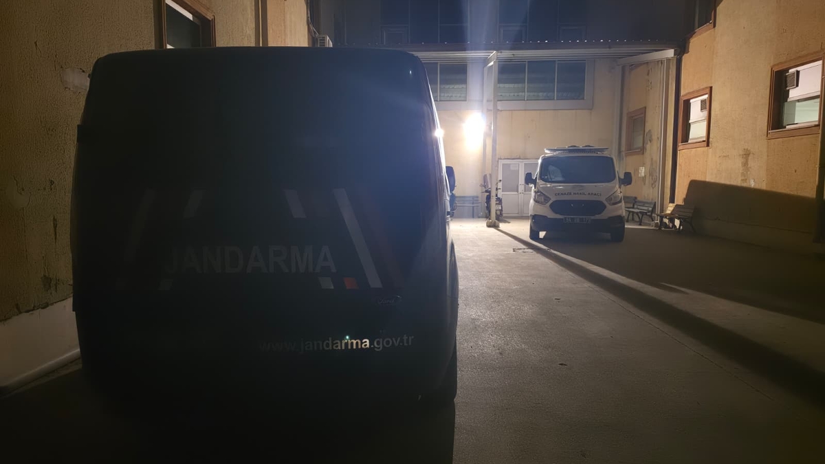 Babasını fındıklıkta ölü buldu
