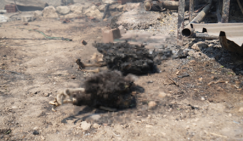 Bağ evi yanarken kanatlı hayvanlar telef oldu