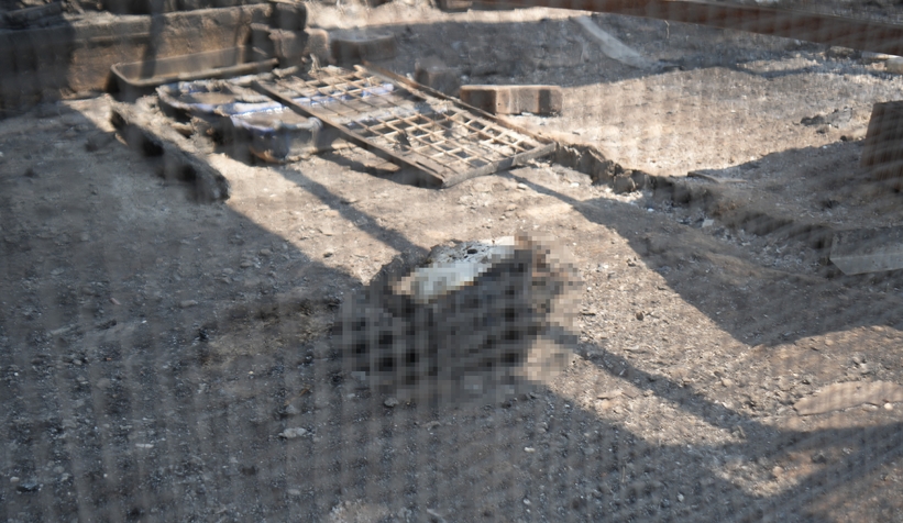 Bağ evi yanarken kanatlı hayvanlar telef oldu