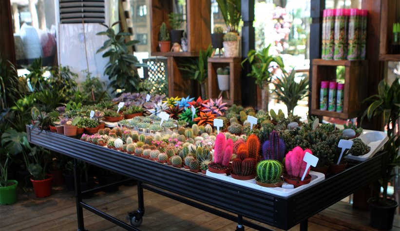 Bahçem satış merkezinin açılışı yapılıyor